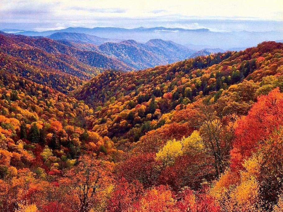 Bourbon Hollow Lodge With Hot Tub And Pool Plus Game Room Only 5 Min To Downtown Gatlinburg Kültér fotó
